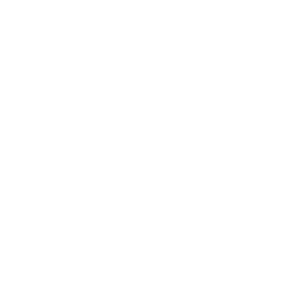 Bridge Course