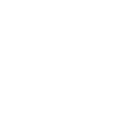 Remedial Support